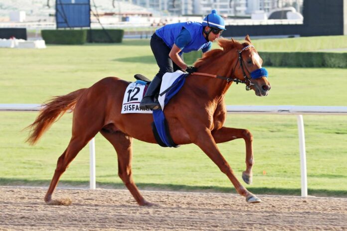 Sisfahan in Meydan Foto: Sorge