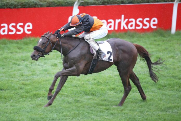 Saint Cloud Saint Cloud
