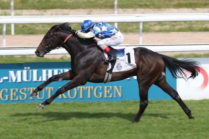 Angers siegt unter Andrea Atzeni im 38. Mehl-Mülhens-Rennen - German 2000 Guineas Angers siegt unter Andrea Atzeni im 38. Mehl-Mülhens-Rennen - German 2000 Guineas