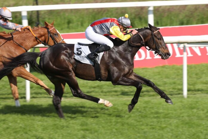 Adaris siegt unter Wladimir Panov