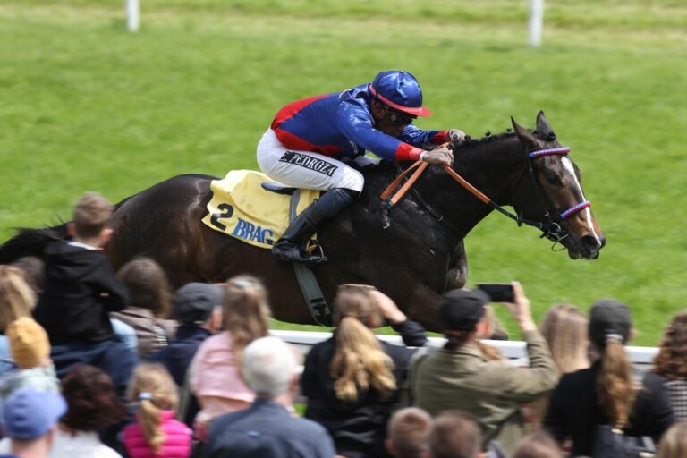 Elf im Zukunfts-Rennen! Starkes Feld im Mittwochs-Highlight