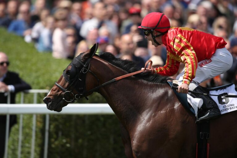 Offenes Rennen um die Silberne Peitsche