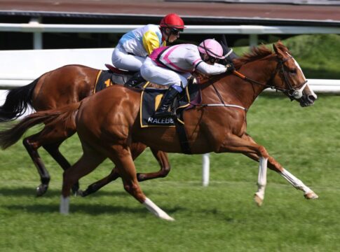 Programmänderung für Samstag in Dresden Djariya