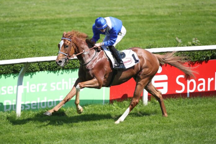 Panthaniel siegt unter Lukas Delozier