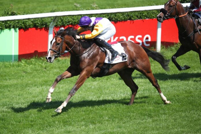 Dhangadhi siegt unter Sibylle Vogt Dhangadhi siegt unter Sibylle Vogt