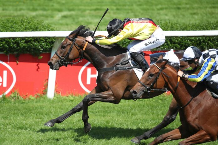 Turfbeauty siegt unter Sean Byrne Turfbeauty siegt unter Sean Byrne