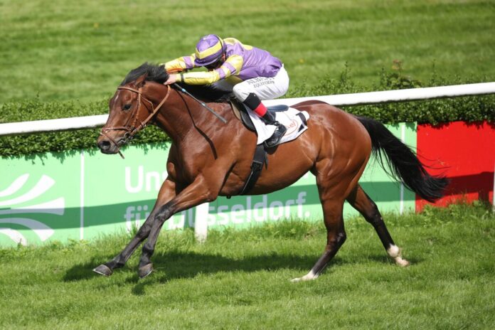 Power On siegt unter Andrasch Starke