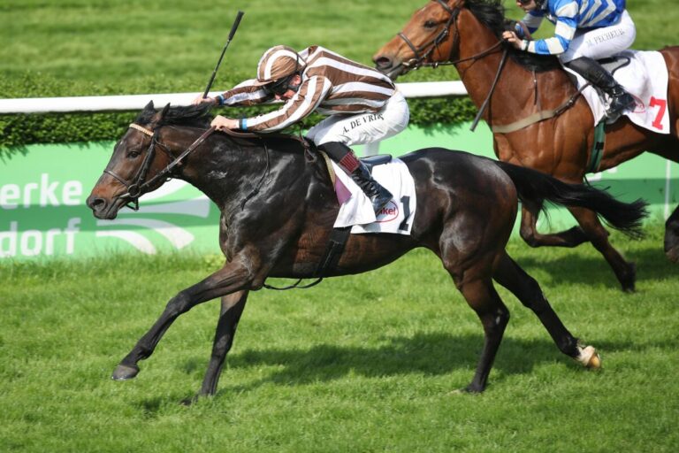 Akua’rius besser als das „Referenz-Rennen“