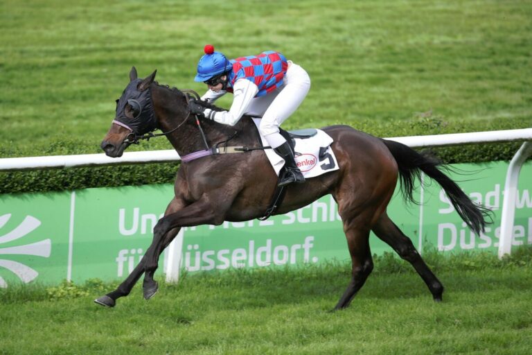 Mit Husarenritt erfolgreich – Lake Sand gewinnt im Amateurrennen