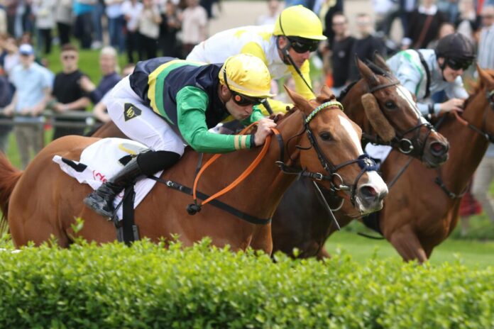 Muskoka (Archiv) Muskoka siegt unter Lukas Delozier im Henkel-Stutenpreis