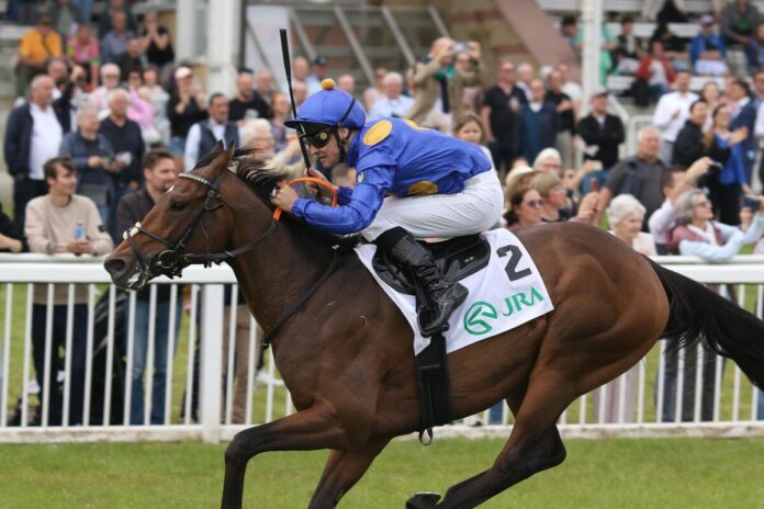 Fantastic Moon siegt unter Rene Piechulek im Japan Racing Association Derby-Trial Fantastic Moon siegt unter Rene Piechulek im Japan Racing Association Derby-Trial