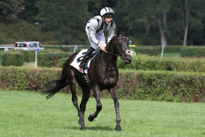 North Hunter siegt unter Adrie de Vries