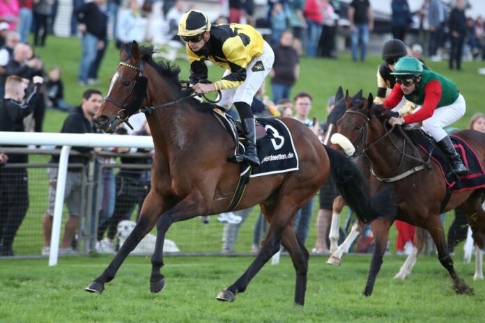 Oriental Princess (Archiv)