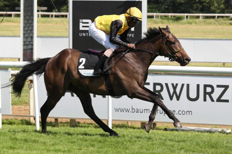 Panjari verkauft! England die neue Heimat