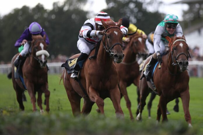 Sweet Diana siegt unter Eduardo Pedroza Sweet Diana