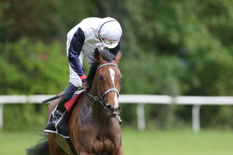 Ein Blick auf die Diana-Festkurse