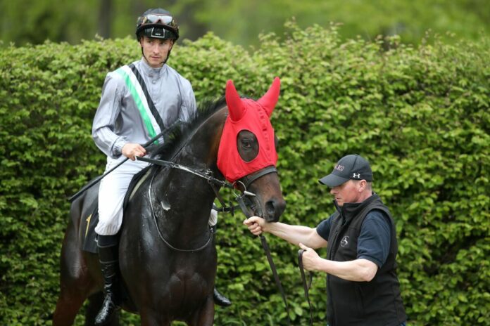 Arcandi (Archiv) Arcandi