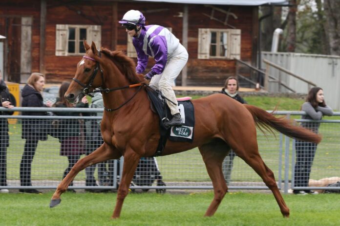 Alpenjäger mit Sibylle Vogt Alpenjäger mit Sibylle Vogt
