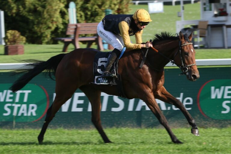 Acht Rennen am Freitag in Hannover – Viererwette mit Jackpot