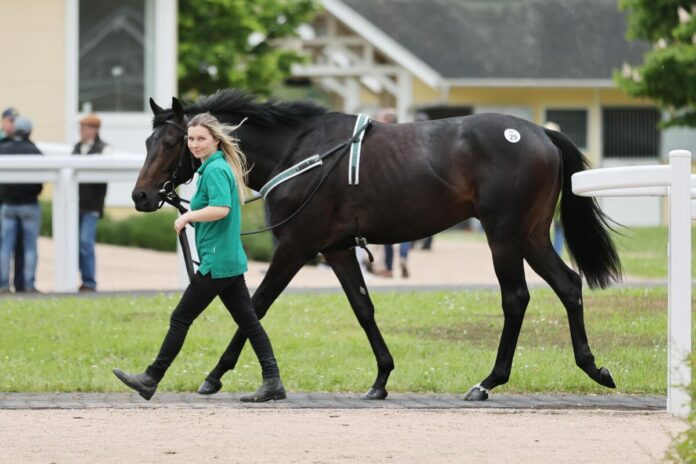 Meer im Führring der BBAG