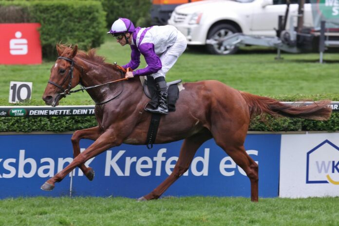 Napolitano siegt unter Rene Piechulek