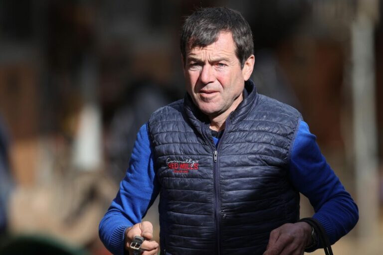 Die Causa Piechulek – „Dann werden andere meine Pferde reiten“