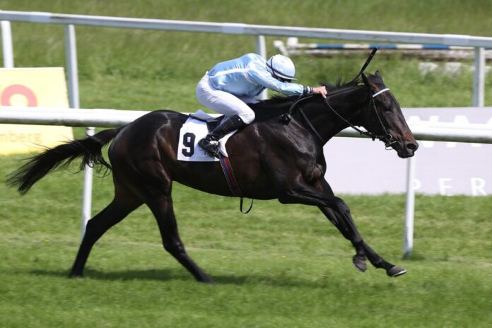 Romano siegt unter Wladimir Panov