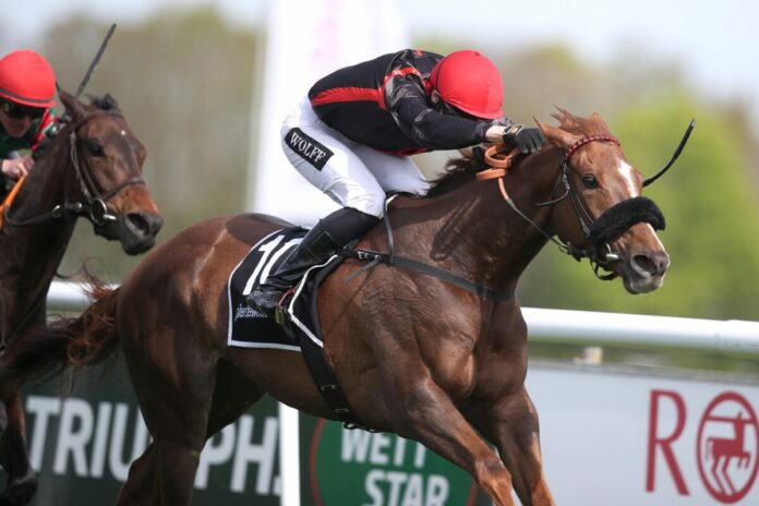 Valpolicella Valpolicella