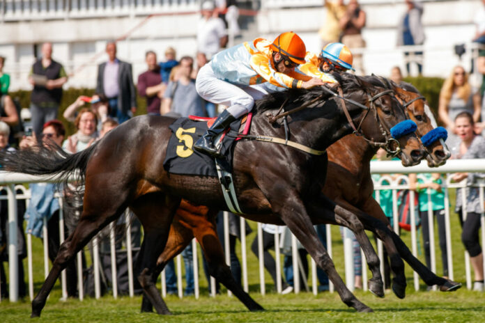 Vinnare siegt unter Jozef Bojko