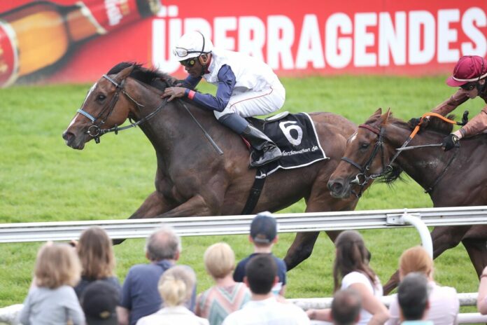 Lady Ewelina siegt unter Eduardo Pedroza