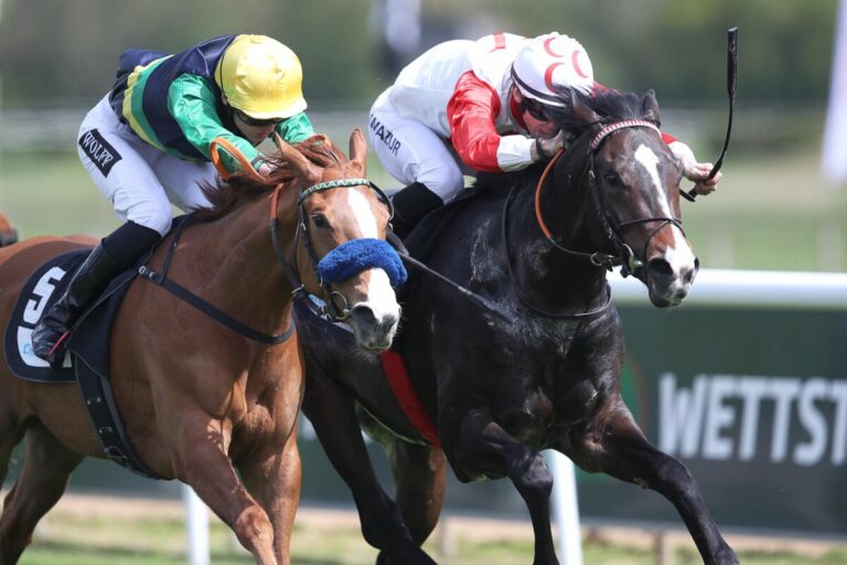 Muhalif beim ersten Karkosa-Start ohne Chance