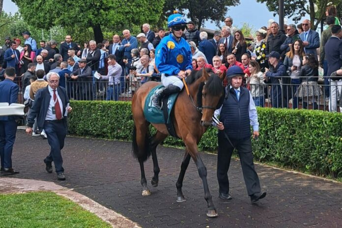 Winning Spirit