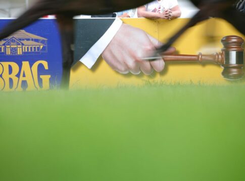 Anmeldeschluss für den Nachtragskatalog zum Sales & Racing Festival