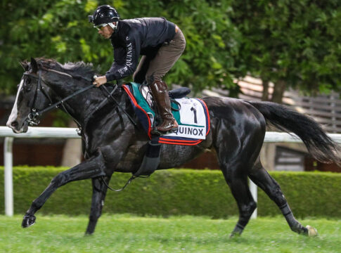 Fast neuer Rekord: Knapp 3,4 Millionen für Equinox-Fohlen - Käufer unbekannt Equinox (Archiv) Foto: dubairacingclub.com