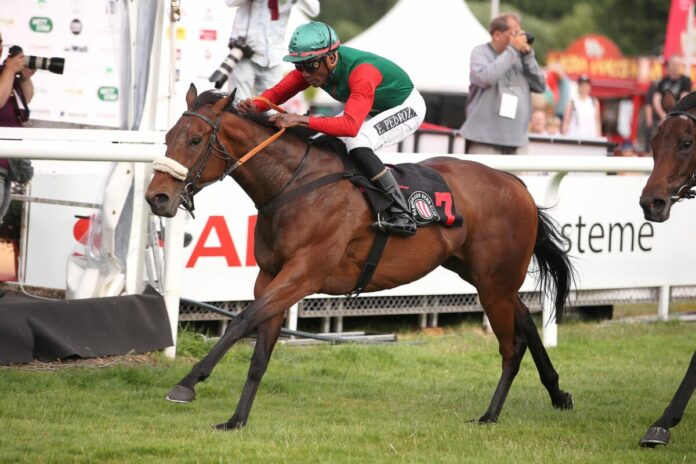 Runhoney siegt unter Eduardo Pedroza