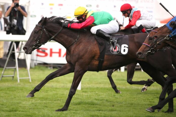 Nastaria siegt unter Miguel Lopez