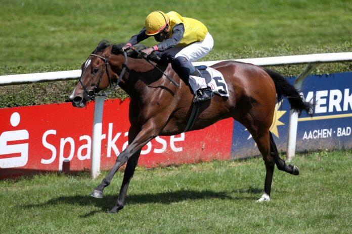 Habana bei ihrem Guineas-Sieg