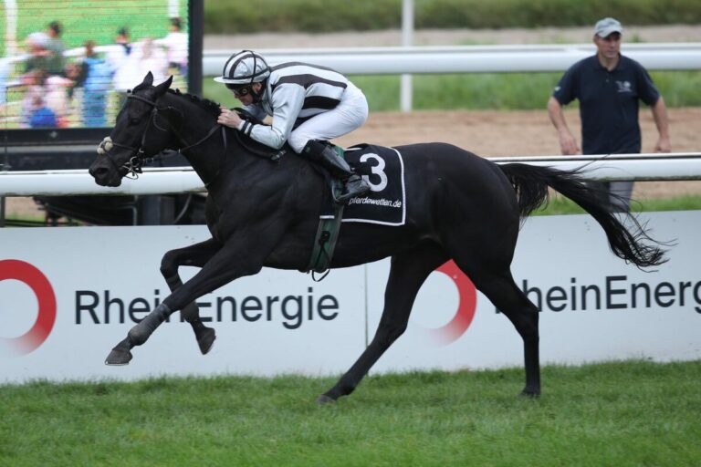 Erika Mäders North Hunter legt nach