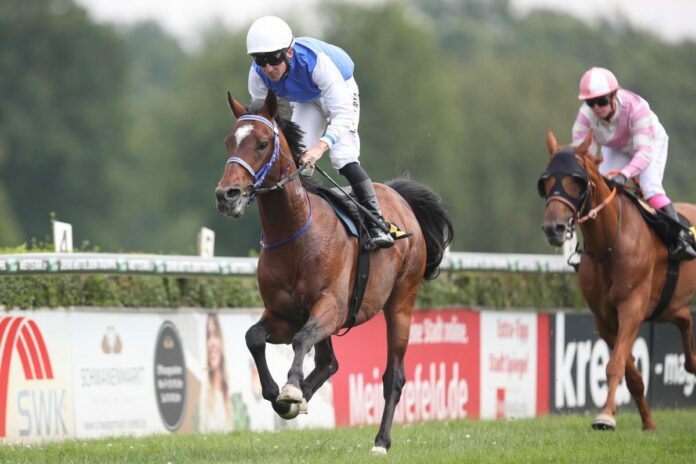 Freddy Py siegt unter Adrie de Vries