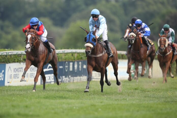 Blueridge Silver siegt unter Stefanie Koyuncu