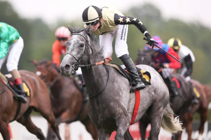 Aradous siegt unter Sean Byrne