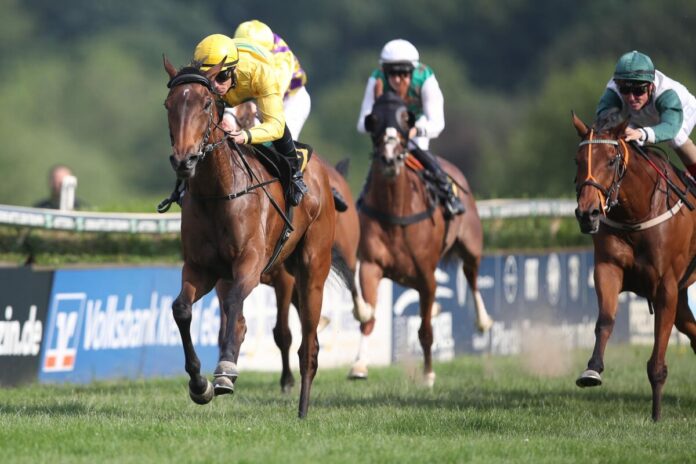 Sweet Fantasy siegt unter Michael Cadeddu