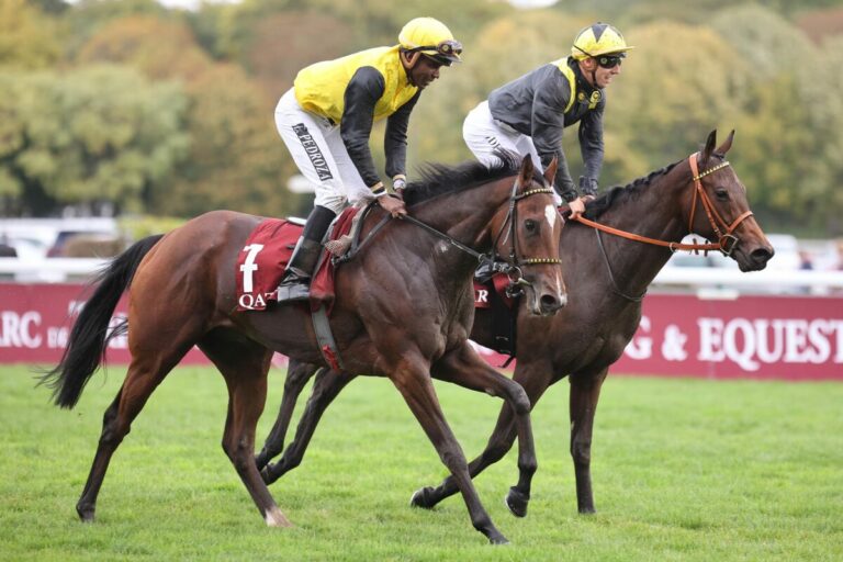 Viele Chancen im Stutenklassiker