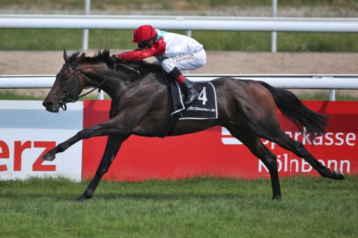 Lotterbov siegt unter Andrasch Starke Lotterbov siegt unter Andrasch Starke