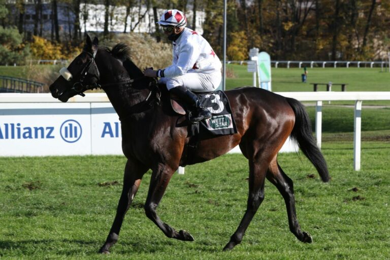 Stefan Richters Vidalgo siegt in Straßburg