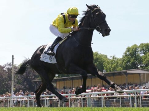 Maljoom siegt unter Stephen Donohoe im 37. Mehl-Mülhens-Rennen