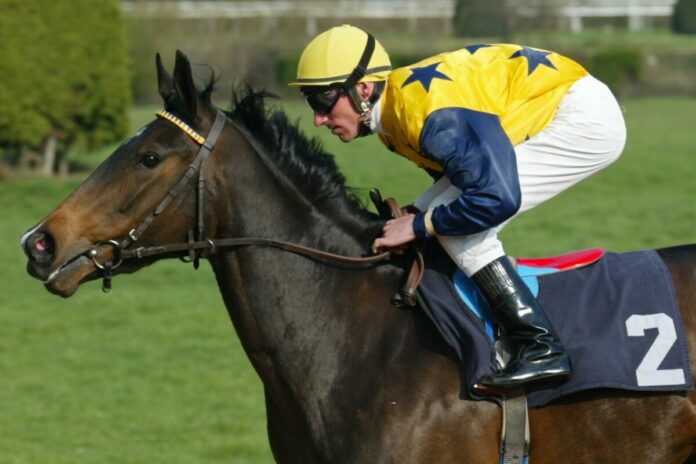 Night Lagoon Night Lagoon