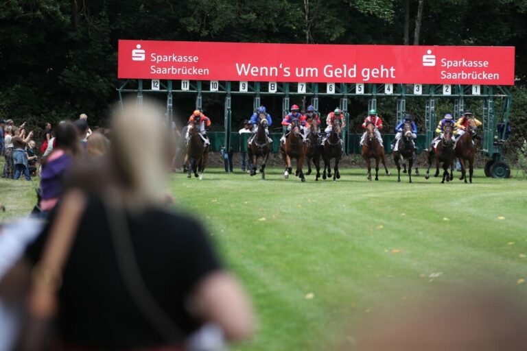Galopp in Saarbrücken