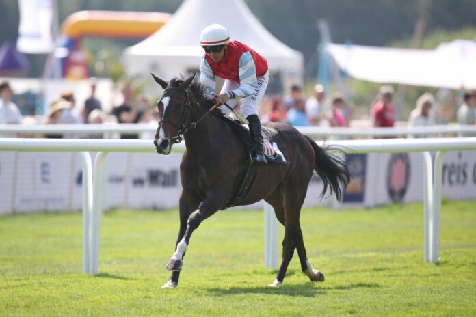 Sunshine Girl siegt unter Bayarsaikhan Ganbat Sunshine Girl siegt unter Bayarsaikhan Ganbat