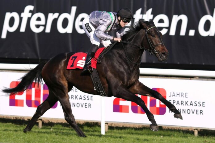 Weracruz siegt unter Leon Wolff im Grosser Preis der Sparkasse Hannover, L.